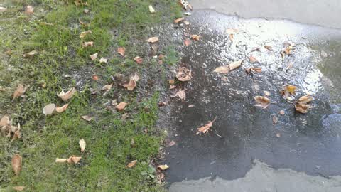 Water Supply, a report photo
