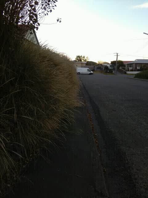 Roading/Streets, a report photo