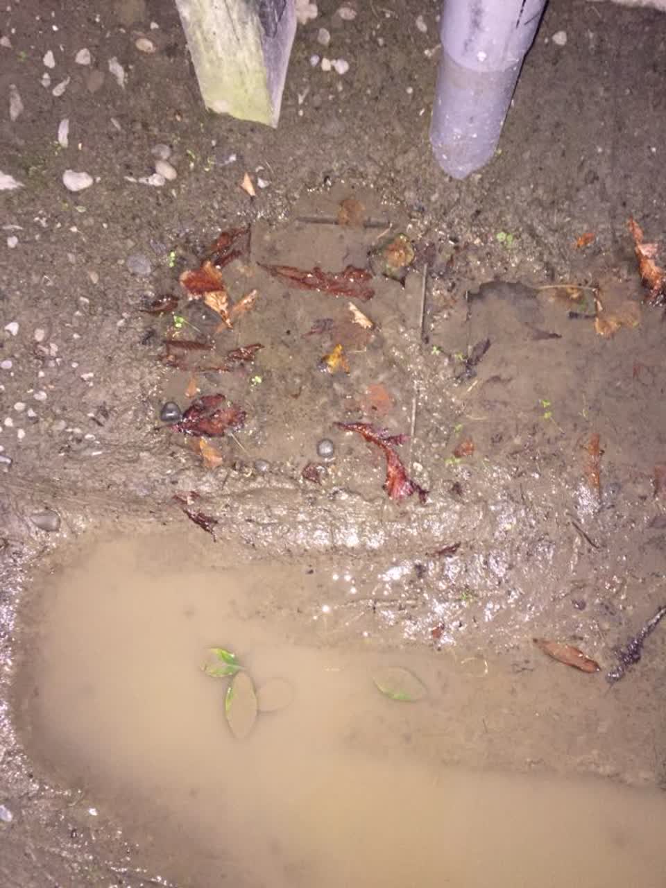 The photograph attached to this water supply report