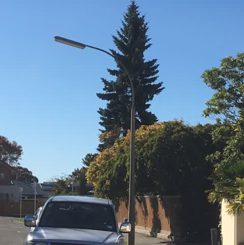 Roading/Streets, a report photo
