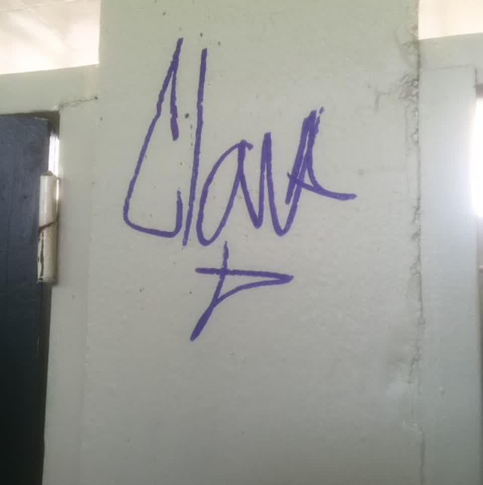 The photograph attached to this graffiti report