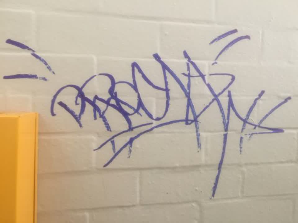 The photograph attached to this graffiti report