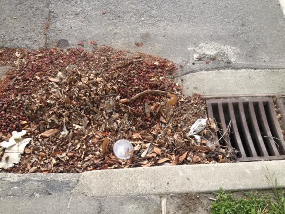 The photograph attached to this wastewater/stormwater report