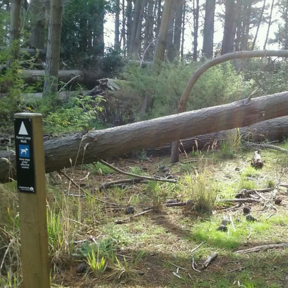 The photograph attached to this parks report