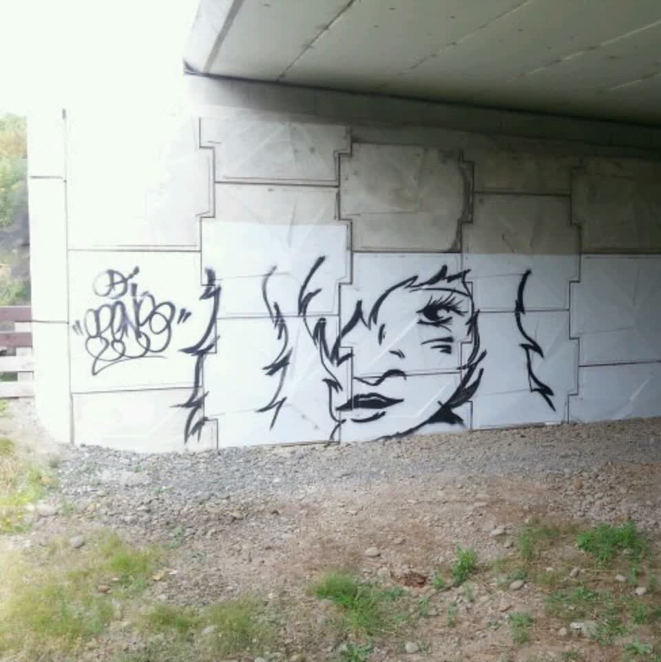 The photograph attached to this graffiti report