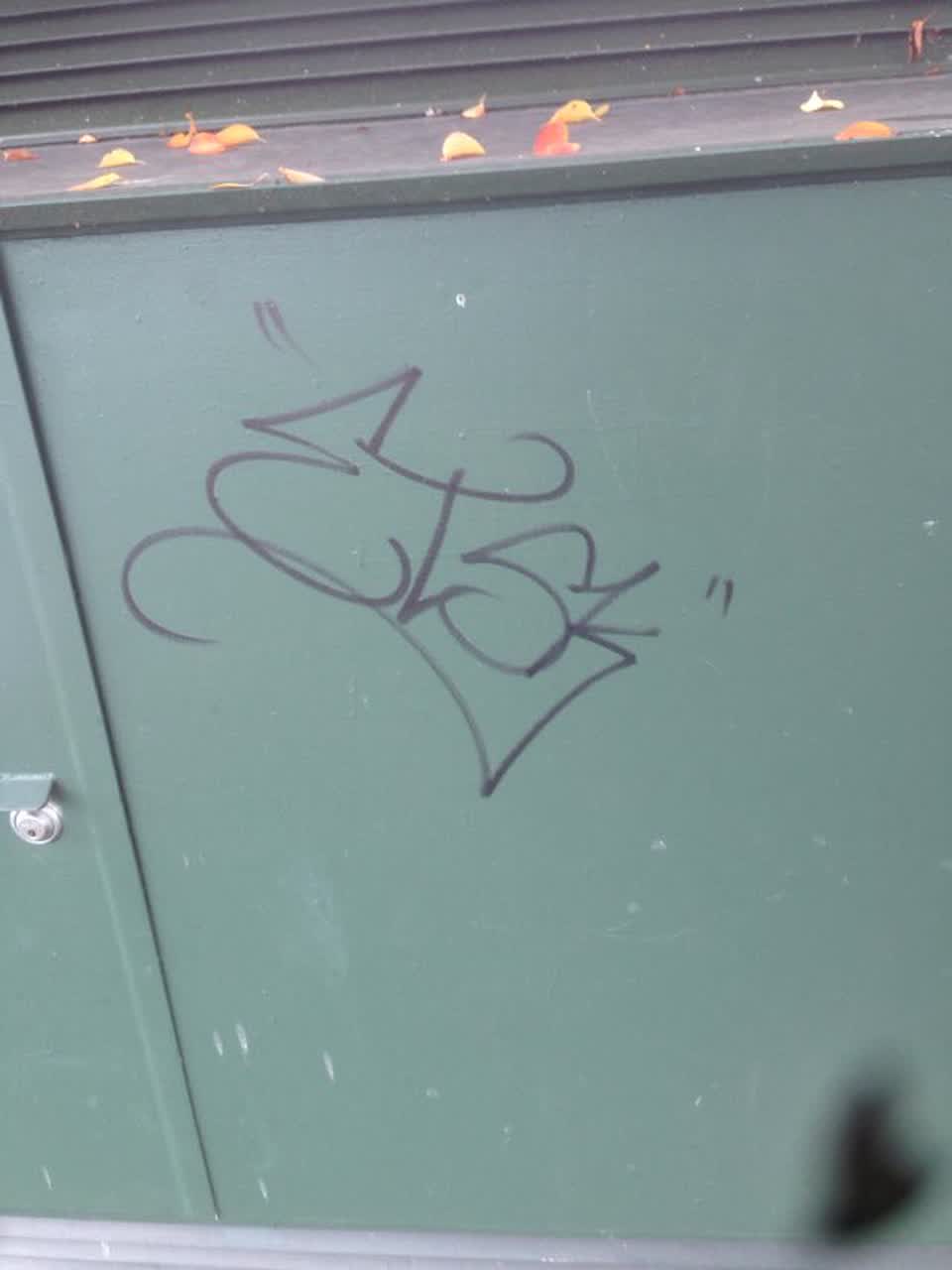 The photograph attached to this graffiti report
