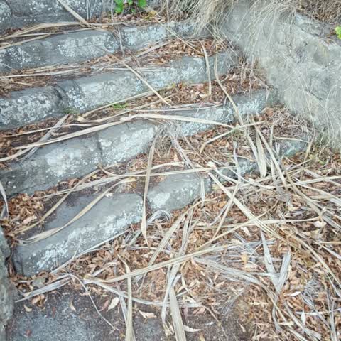 Roading/Streets, a report photo