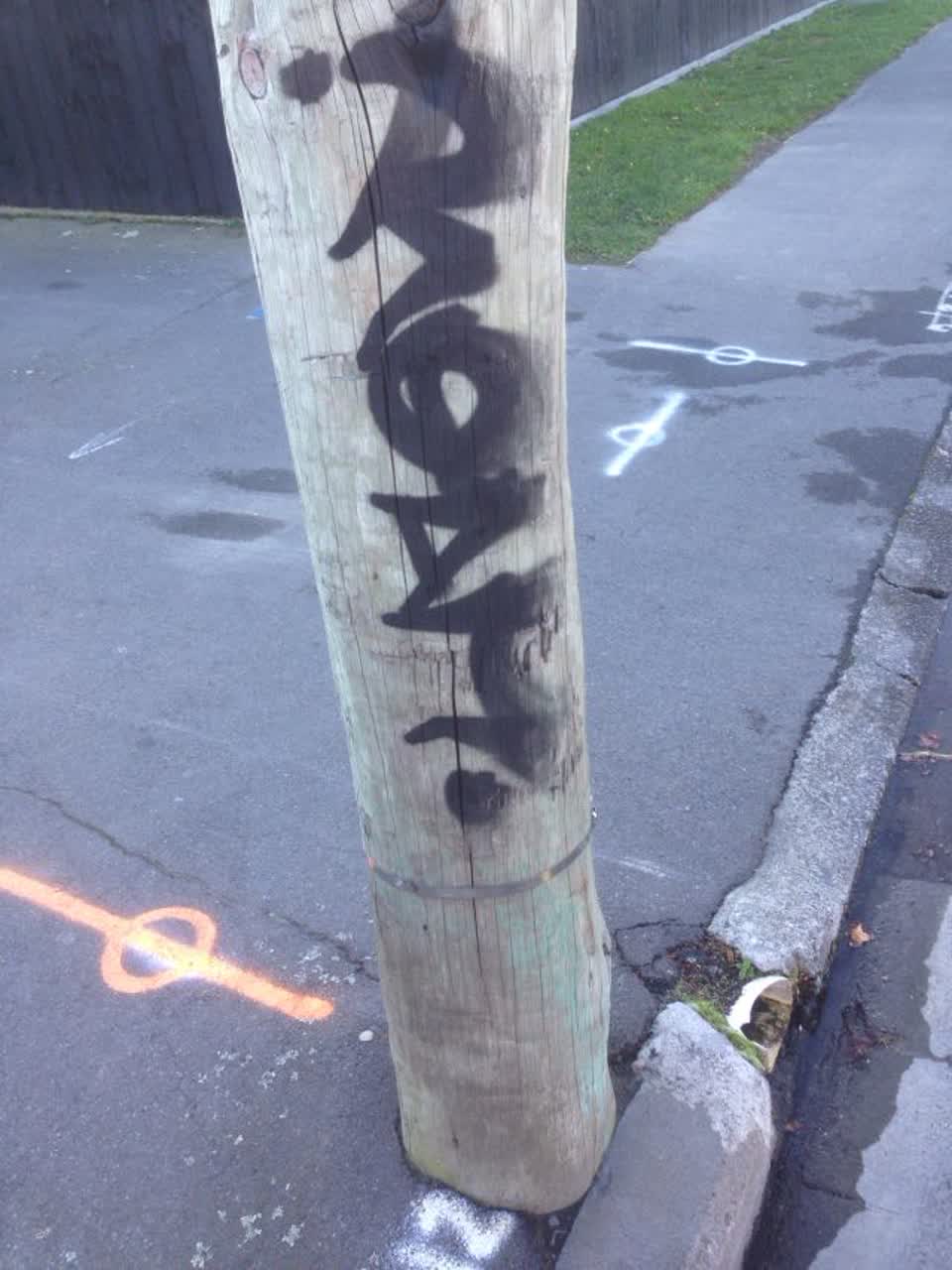The photograph attached to this graffiti report