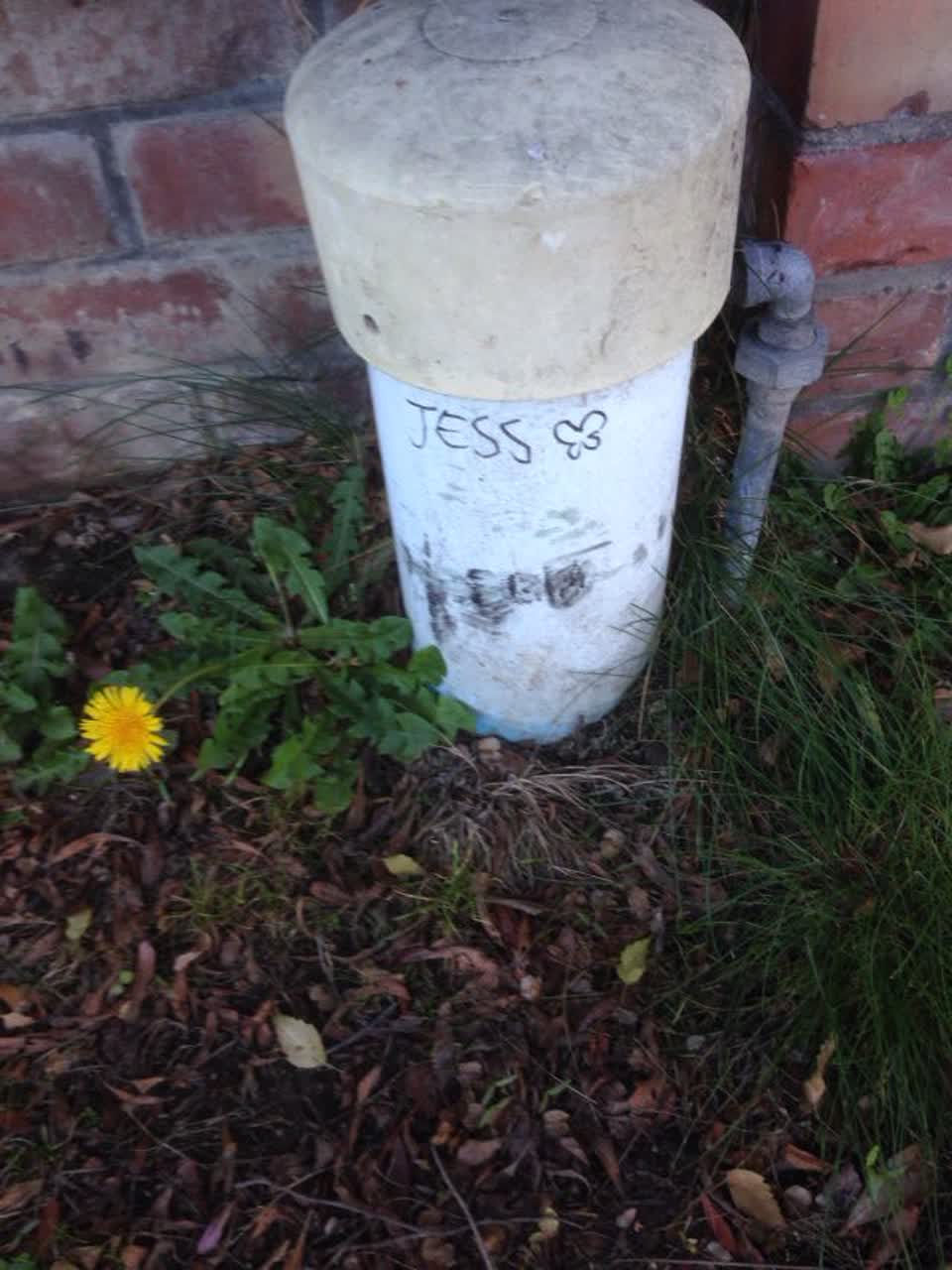 The photograph attached to this graffiti report
