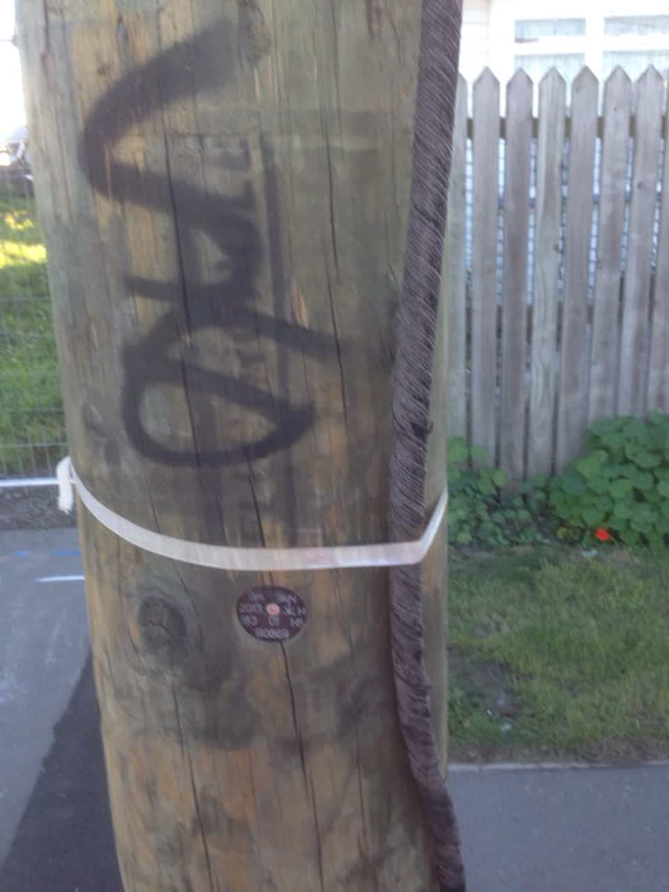 The photograph attached to this graffiti report