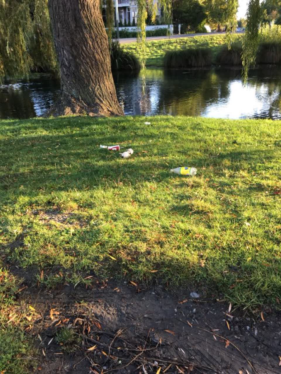 The photograph attached to this rubbish/recycling report