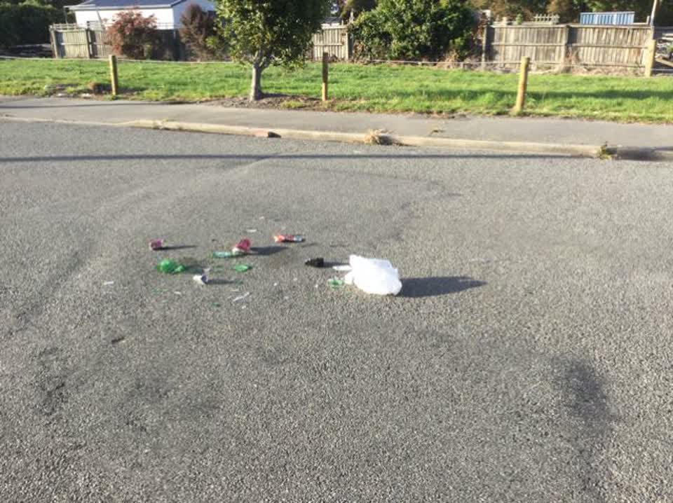 The photograph attached to this rubbish/recycling report