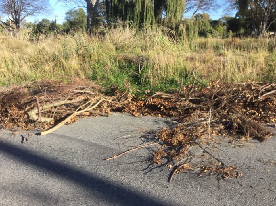 The photograph attached to this rubbish/recycling report