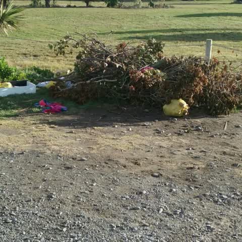 Rubbish/Recycling, a report photo