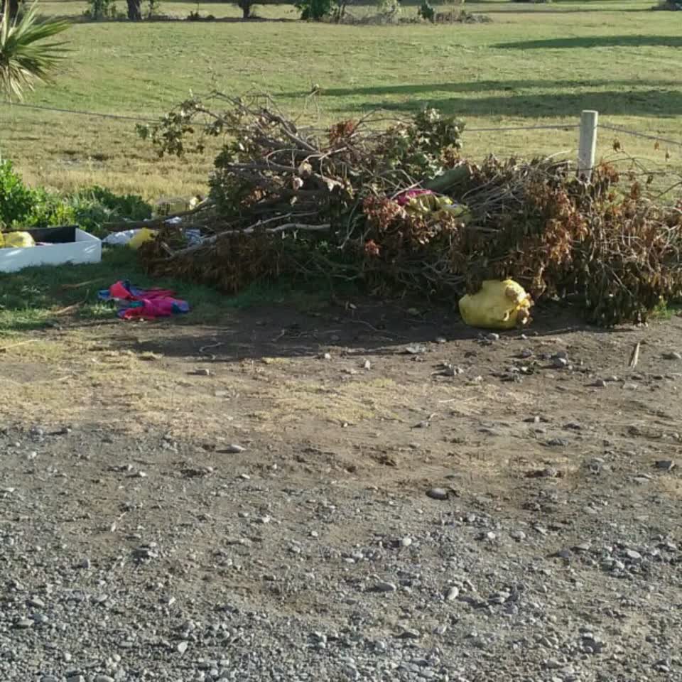 The photograph attached to this rubbish/recycling report