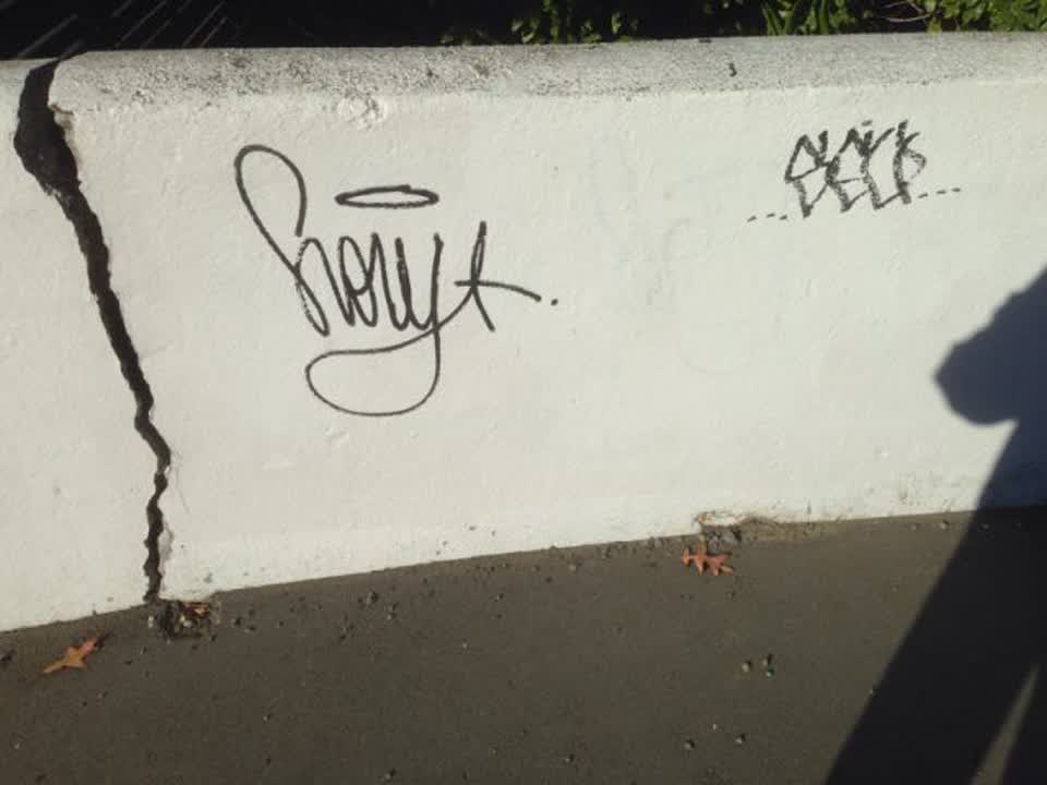 The photograph attached to this graffiti report