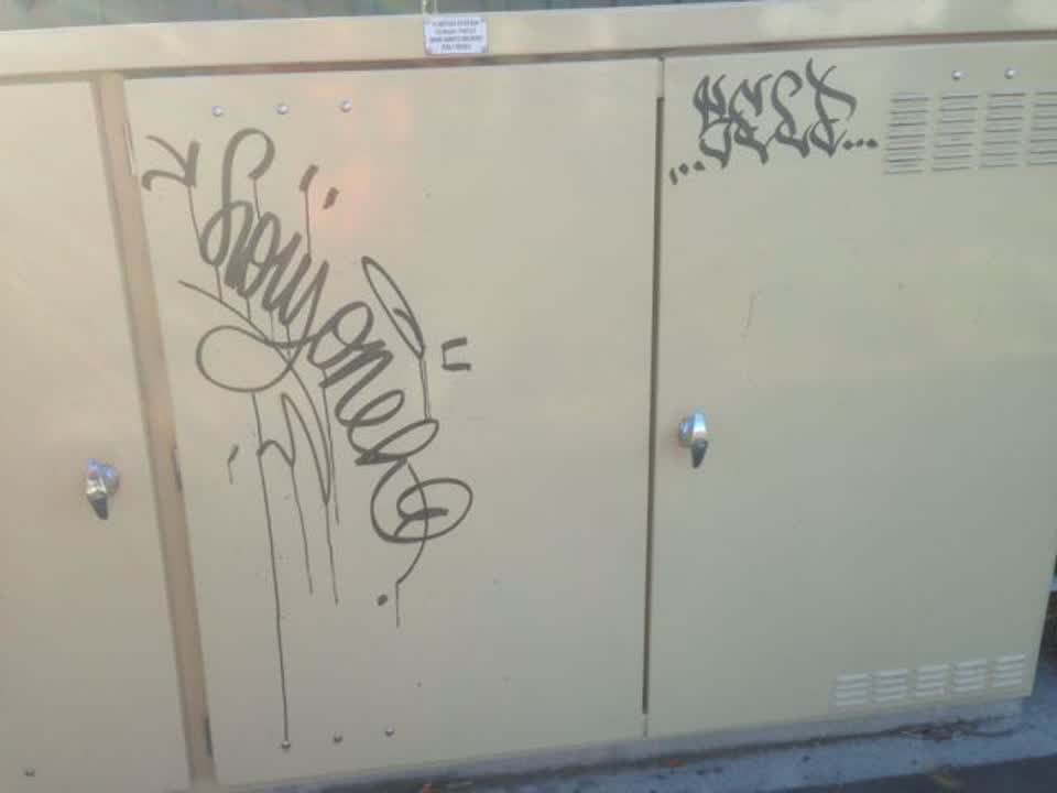 The photograph attached to this graffiti report