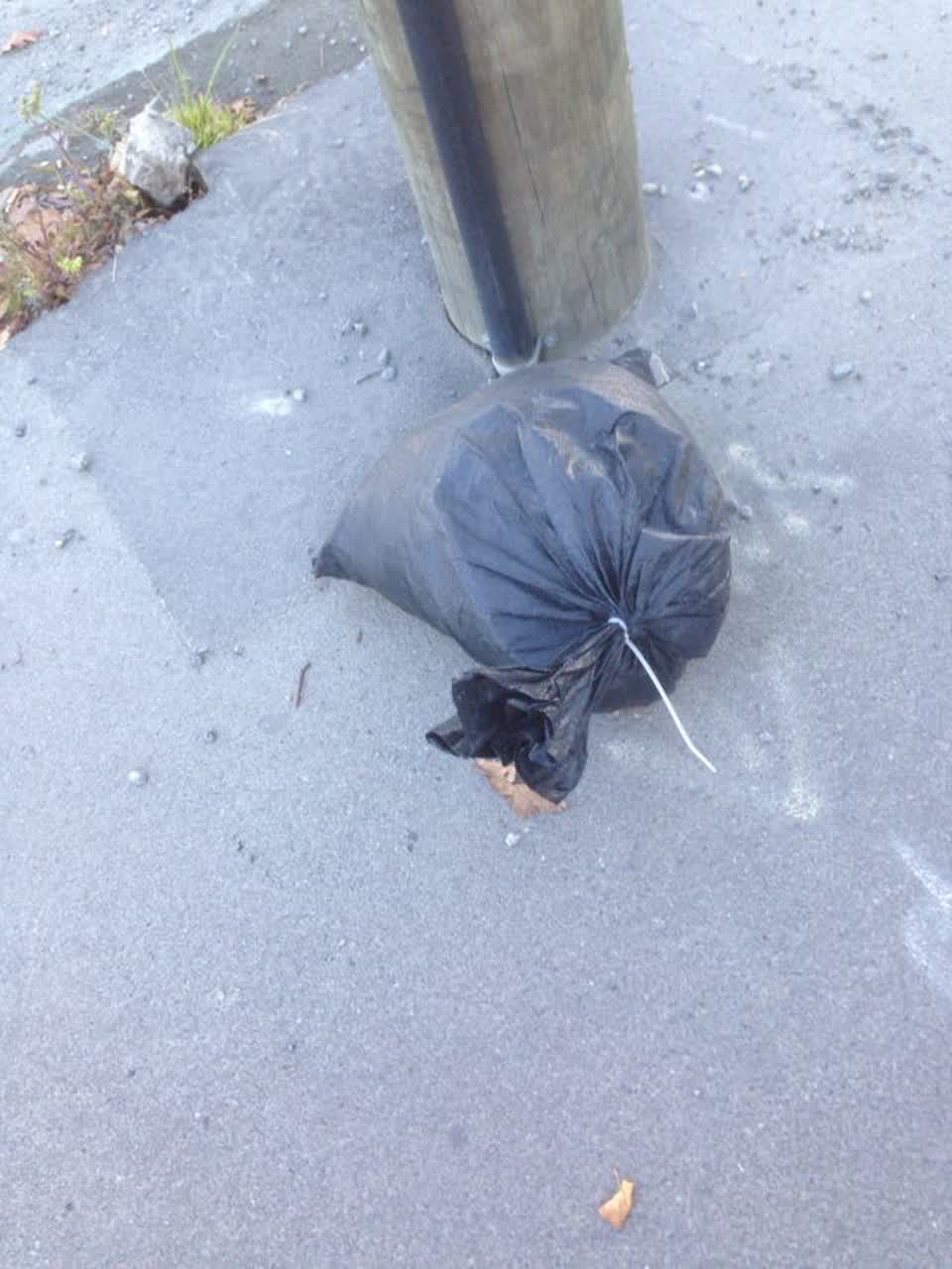 The photograph attached to this rubbish/recycling report
