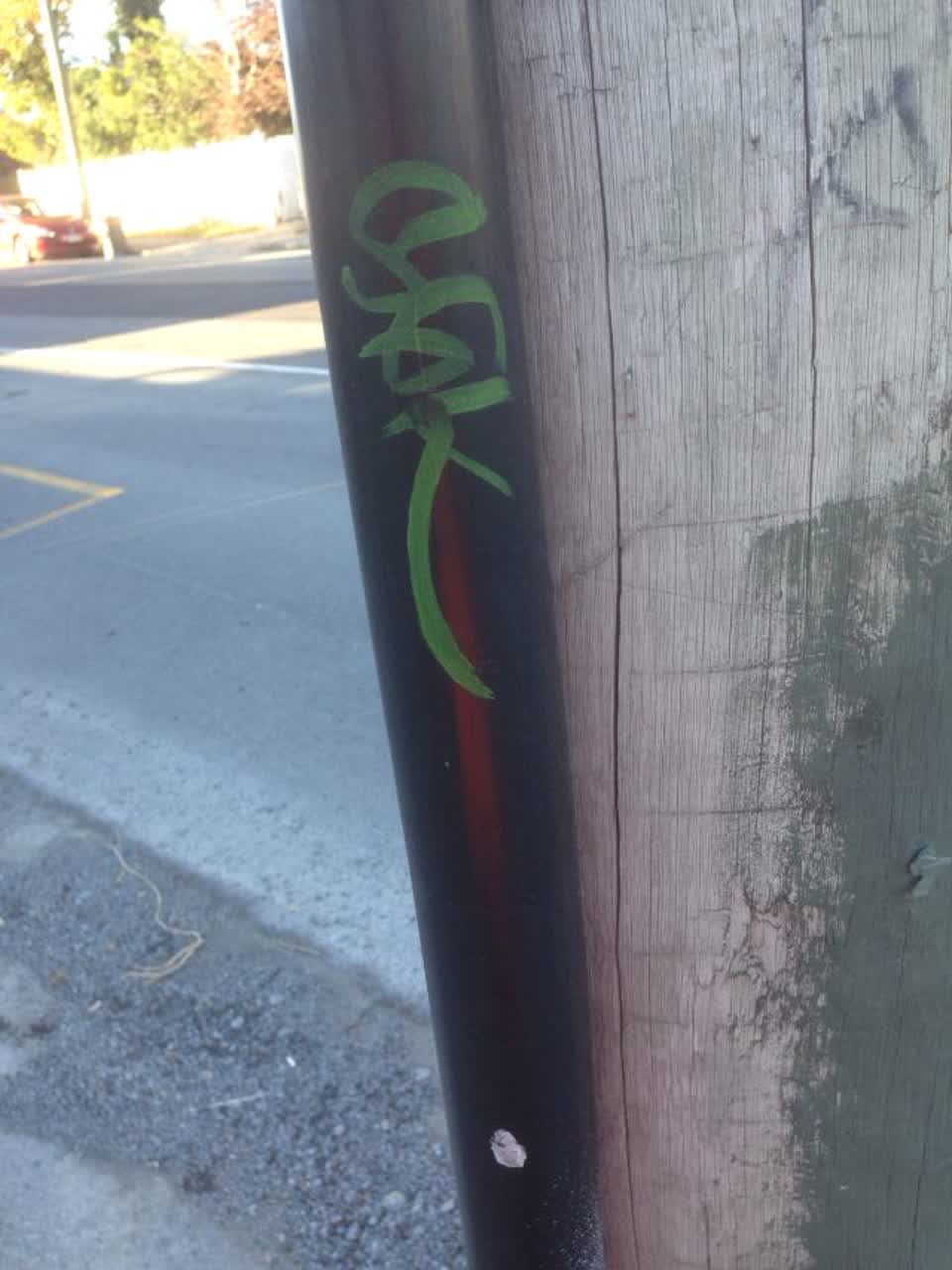 The photograph attached to this graffiti report