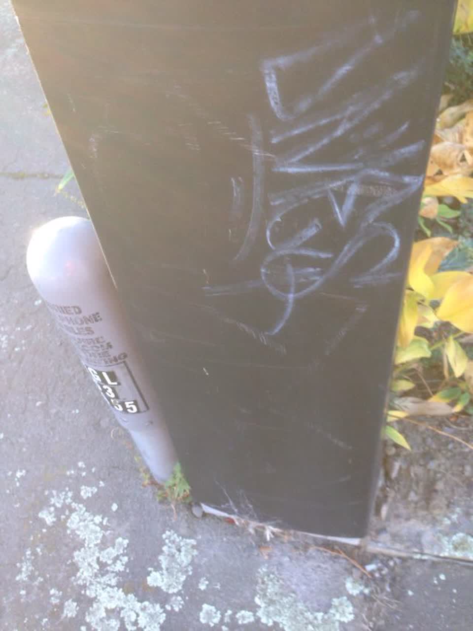 The photograph attached to this graffiti report