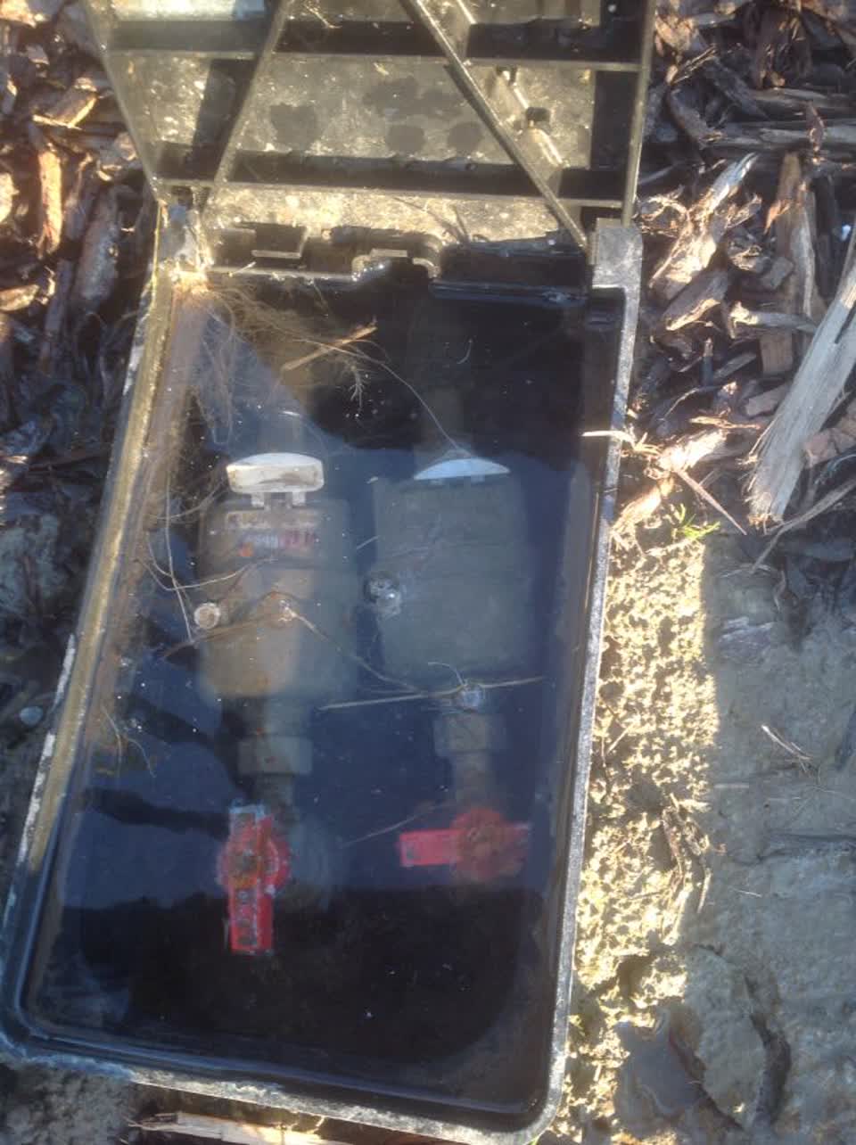 The photograph attached to this water supply report