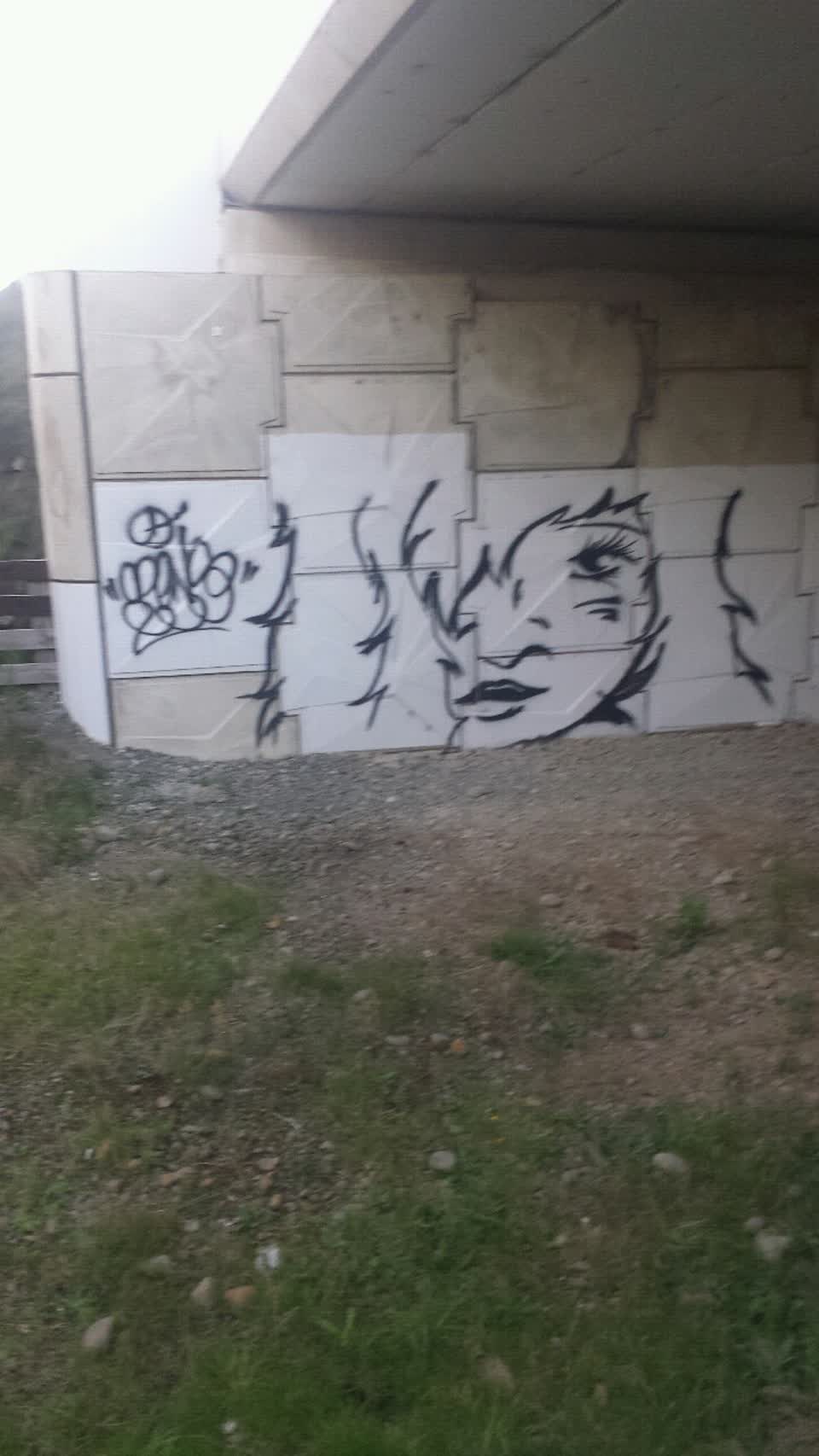 The photograph attached to this graffiti report
