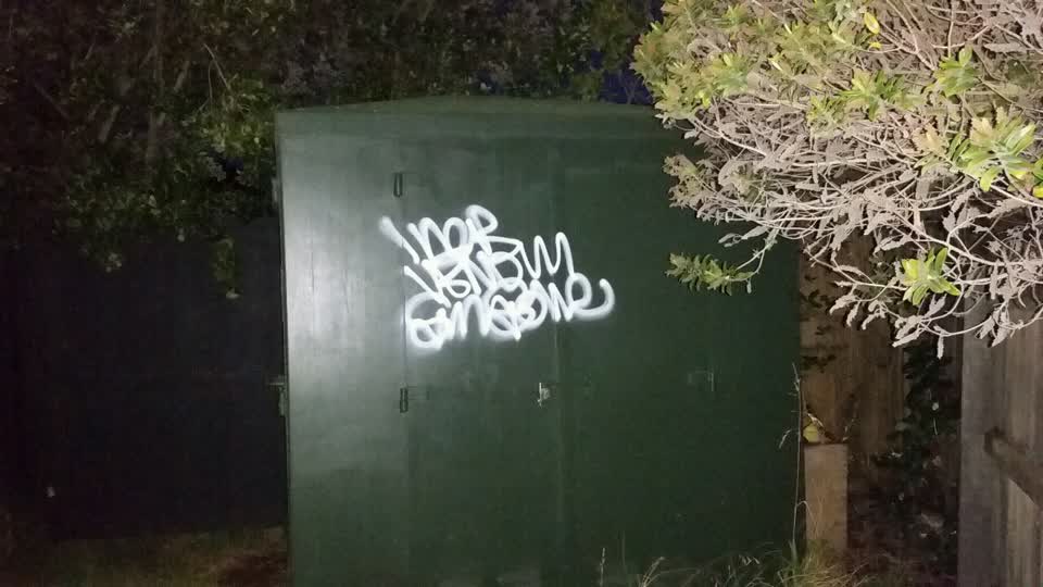 The photograph attached to this graffiti report