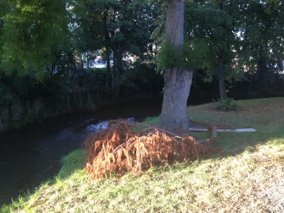 The photograph attached to this parks report