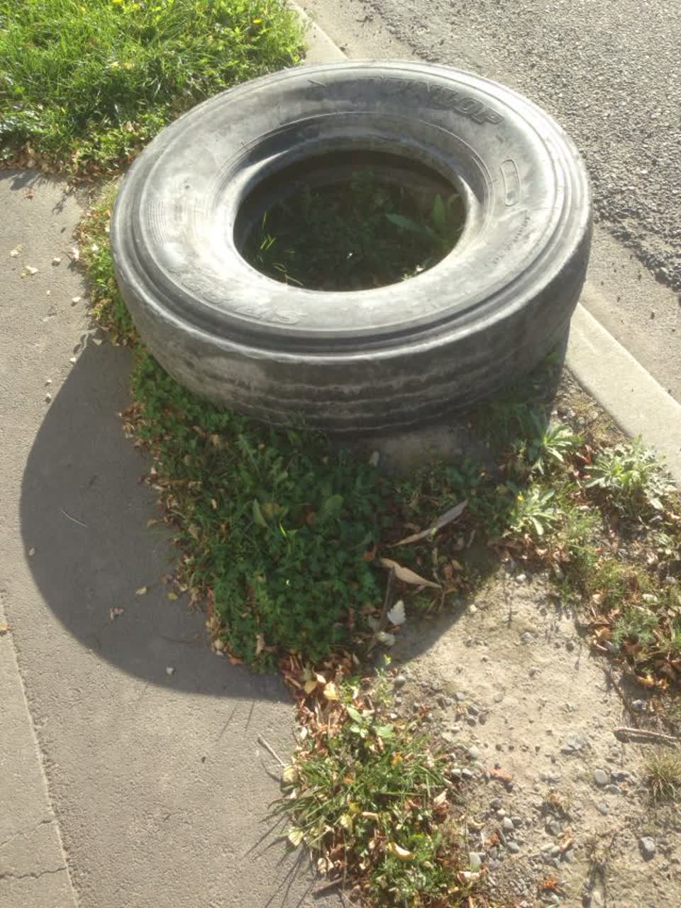The photograph attached to this rubbish/recycling report