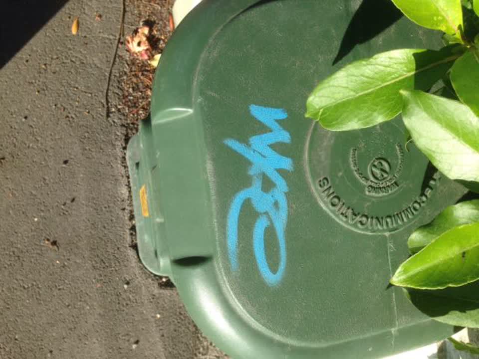 The photograph attached to this graffiti report