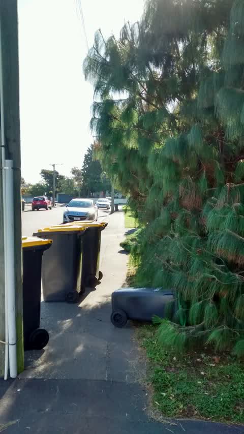 Roading/Streets, a report photo