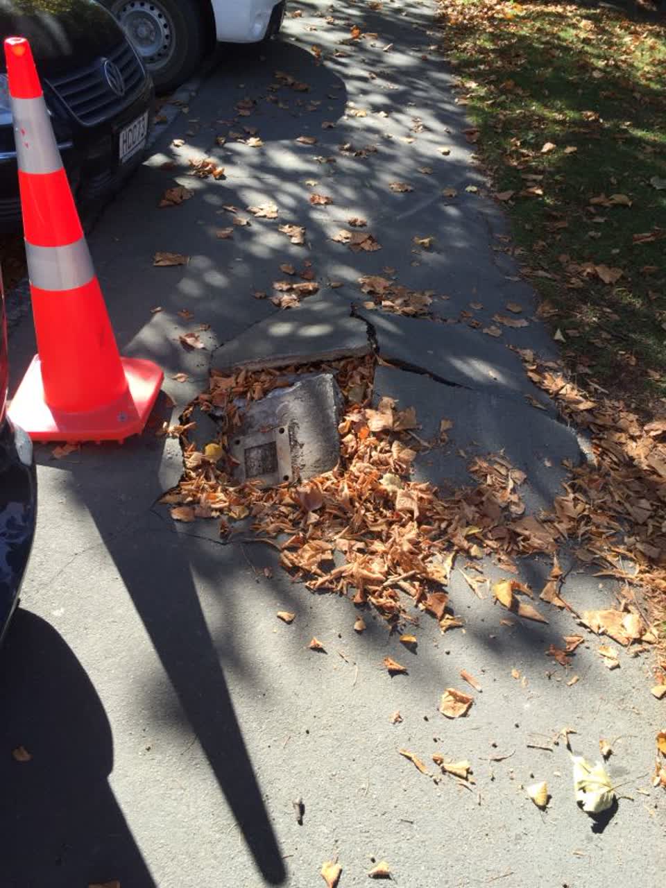 The photograph attached to this roading/streets report