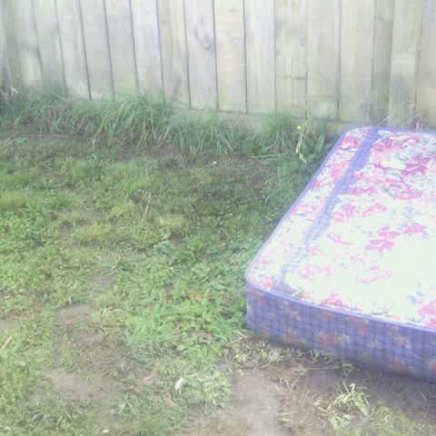 Rubbish/Recycling, a report photo