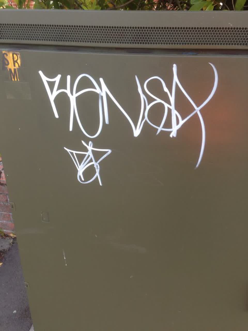 The photograph attached to this graffiti report