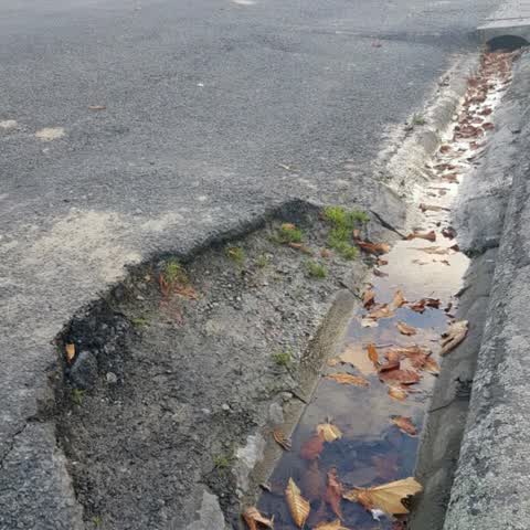 Roading/Streets, a report photo