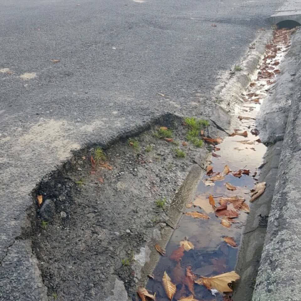 The photograph attached to this roading/streets report