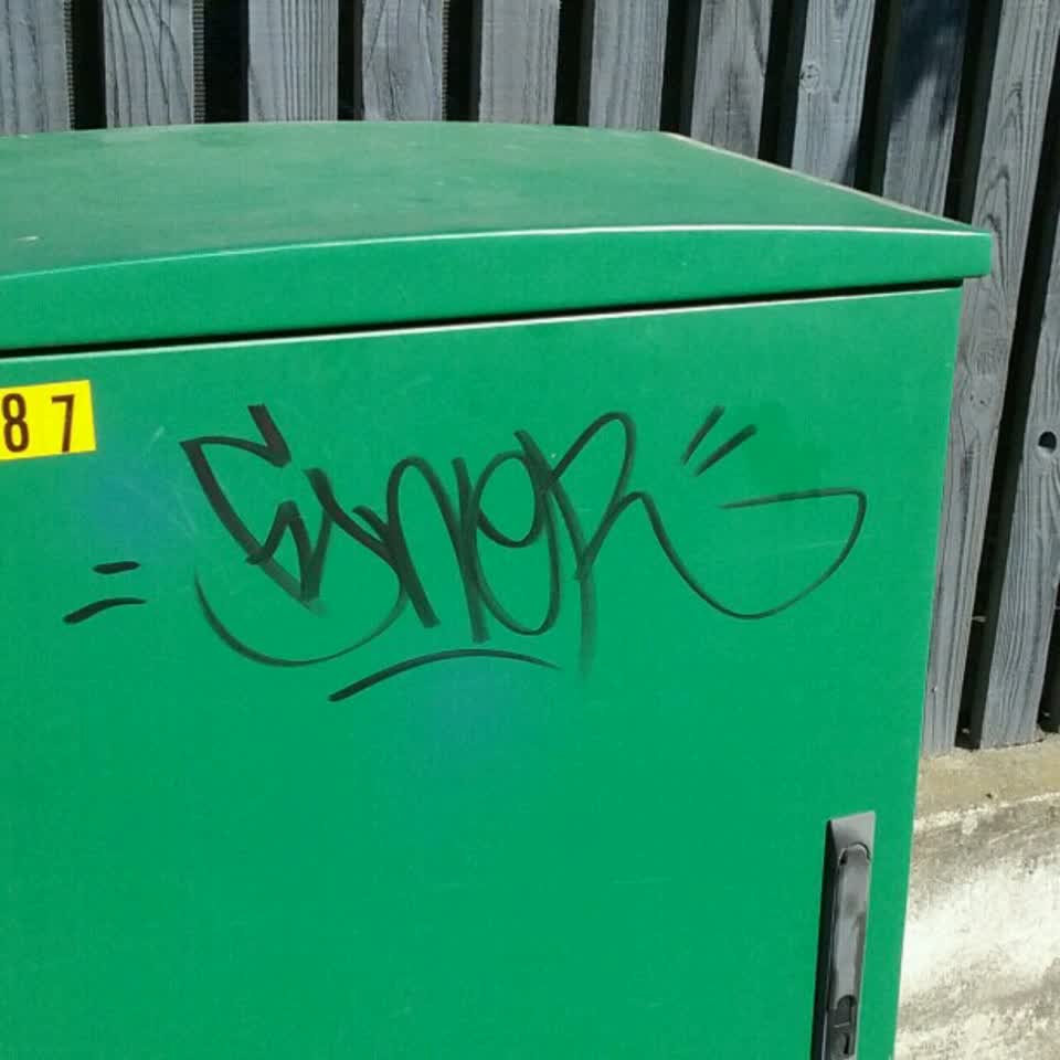 The photograph attached to this graffiti report