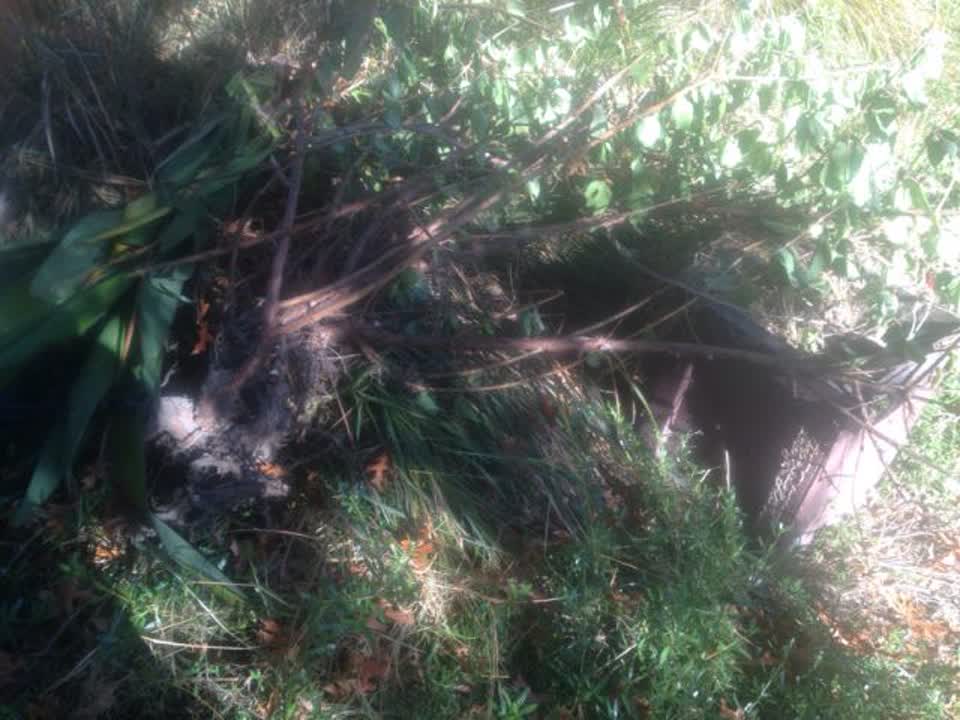 The photograph attached to this parks report