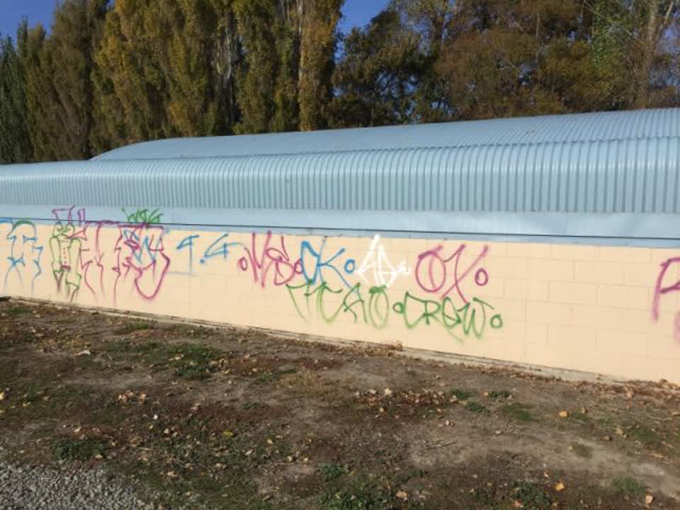 The photograph attached to this graffiti report