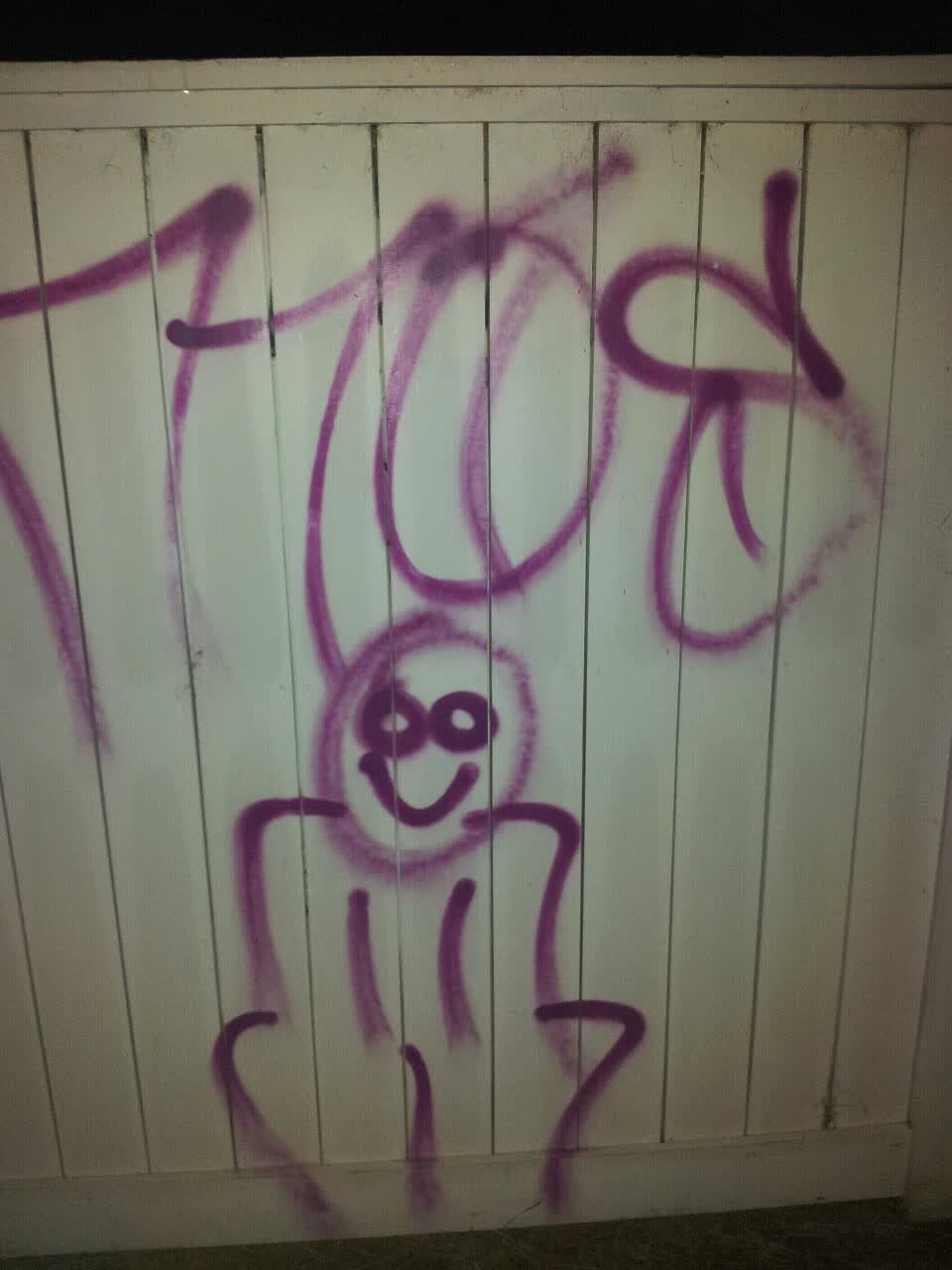 The photograph attached to this graffiti report