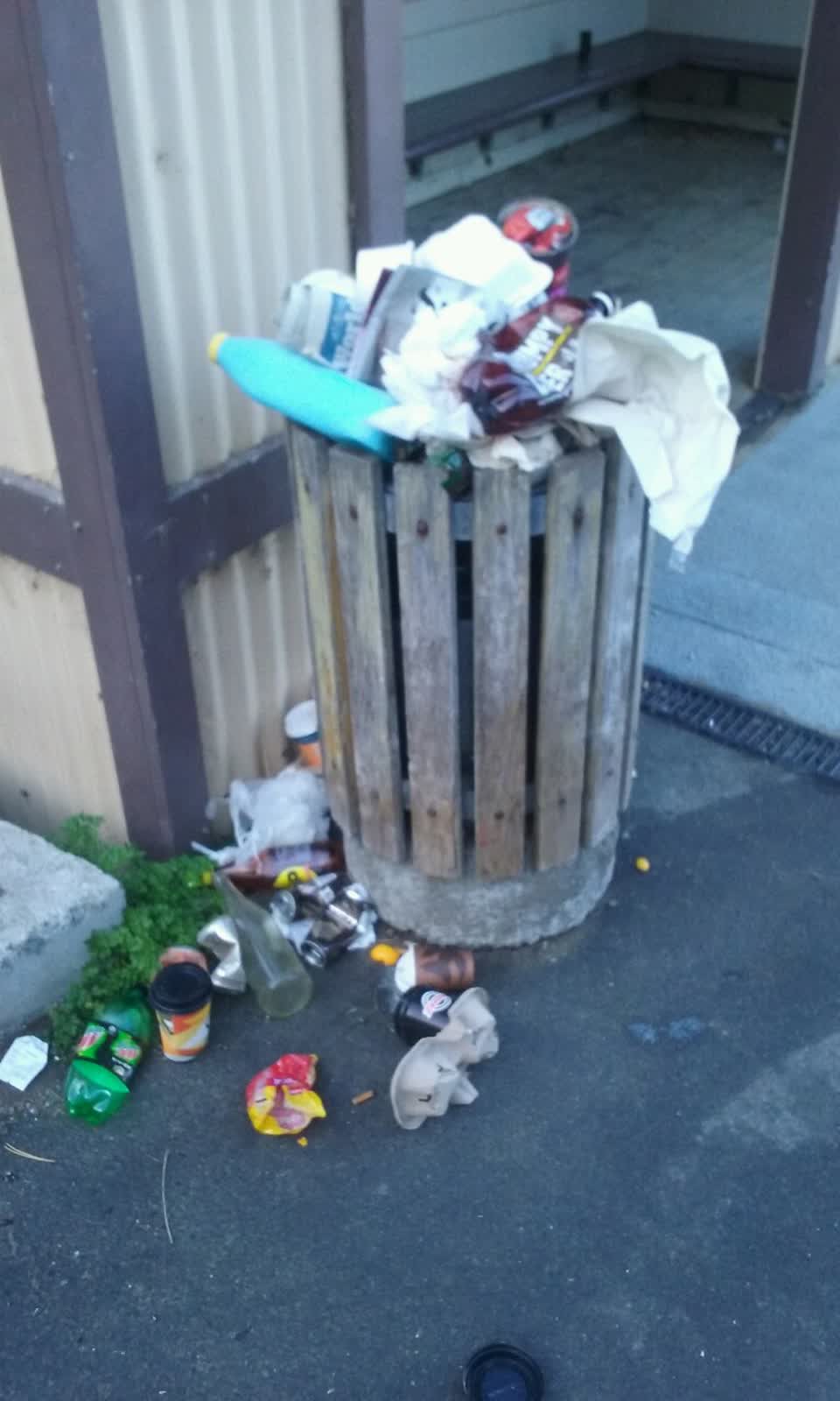 The photograph attached to this rubbish/recycling report