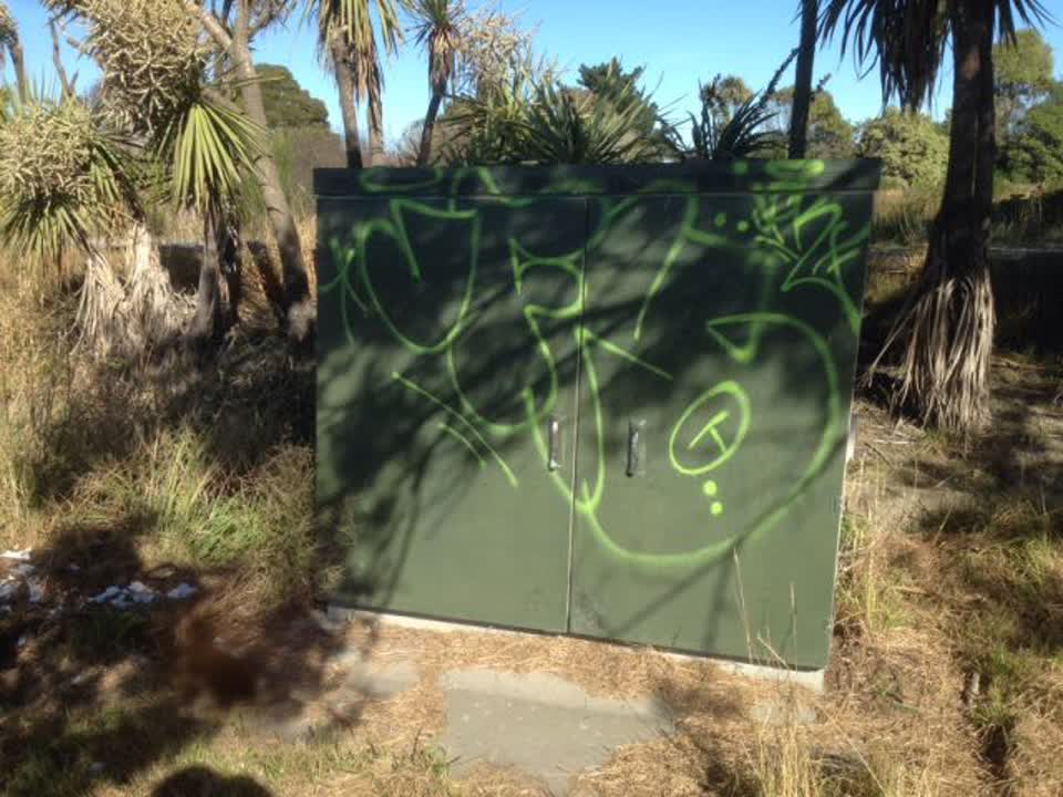 The photograph attached to this graffiti report