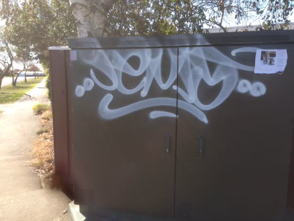 The photograph attached to this graffiti report