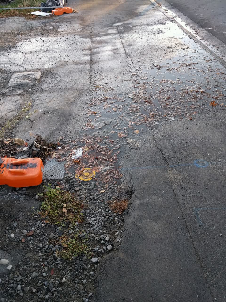 The photograph attached to this water supply report
