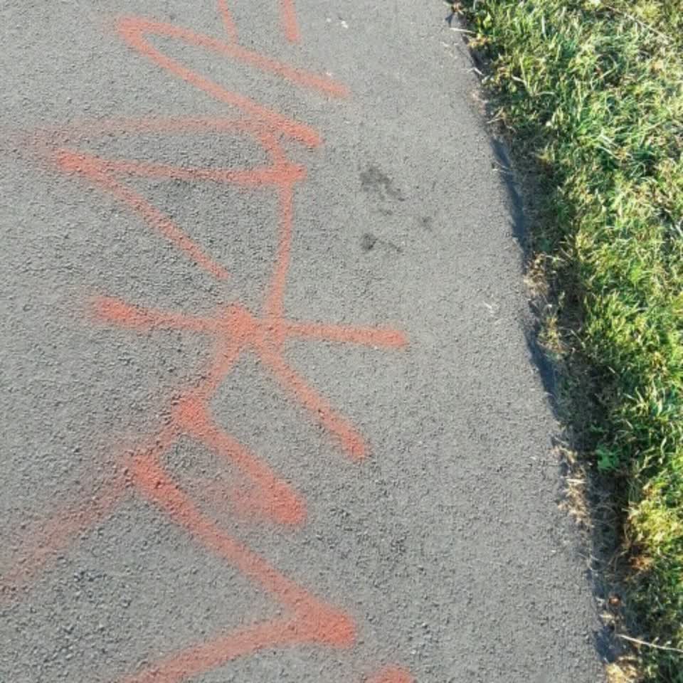 The photograph attached to this graffiti report
