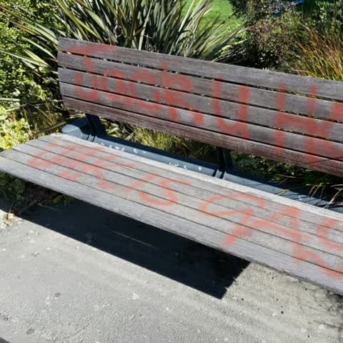 Graffiti, a report photo