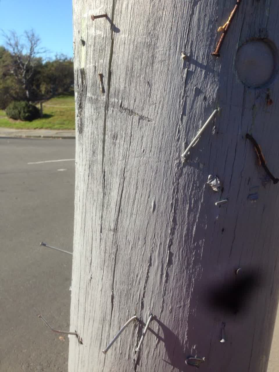 The photograph attached to this roading/streets report