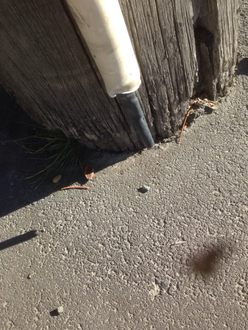 The photograph attached to this roading/streets report