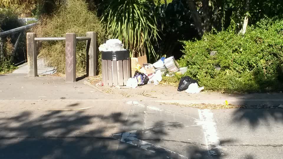 The photograph attached to this rubbish/recycling report