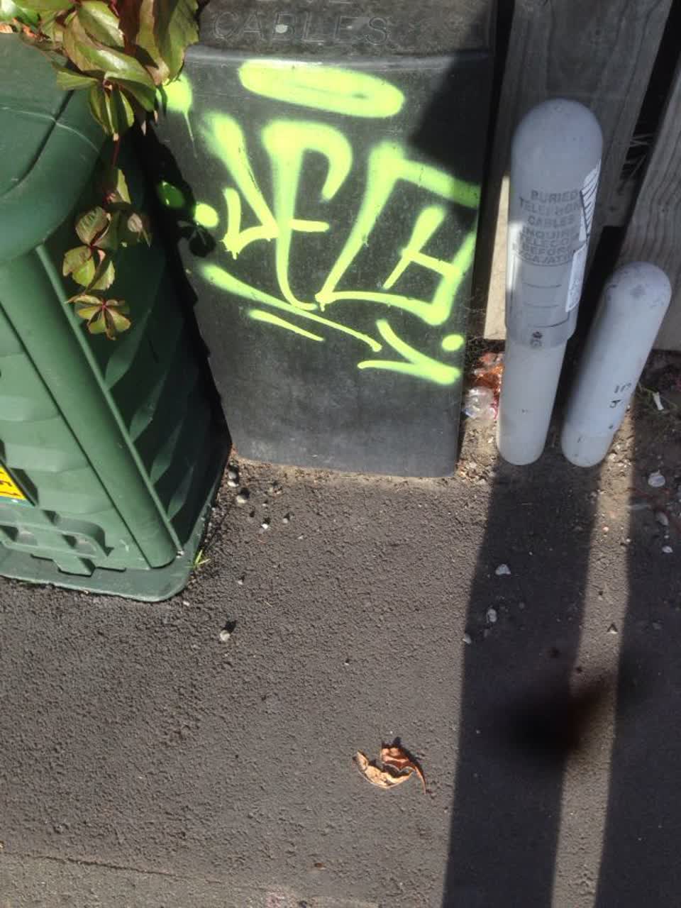 The photograph attached to this graffiti report